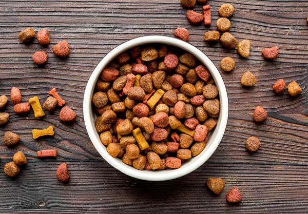 Top choix de croquettes de qualité pour votre chien : avis