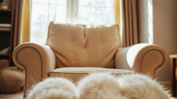 Top modèles de chaussons pour protéger les pattes de votre chat